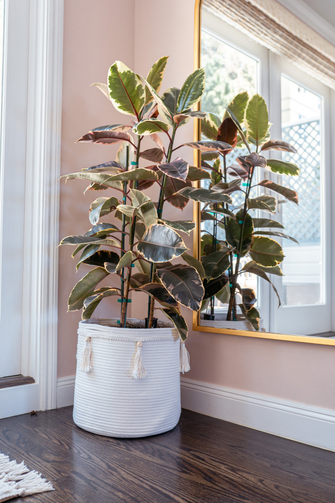 Corona Heights Neighborhood