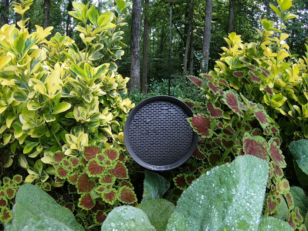 Outdoor Audio (Sonance SLS System & Garden Series)