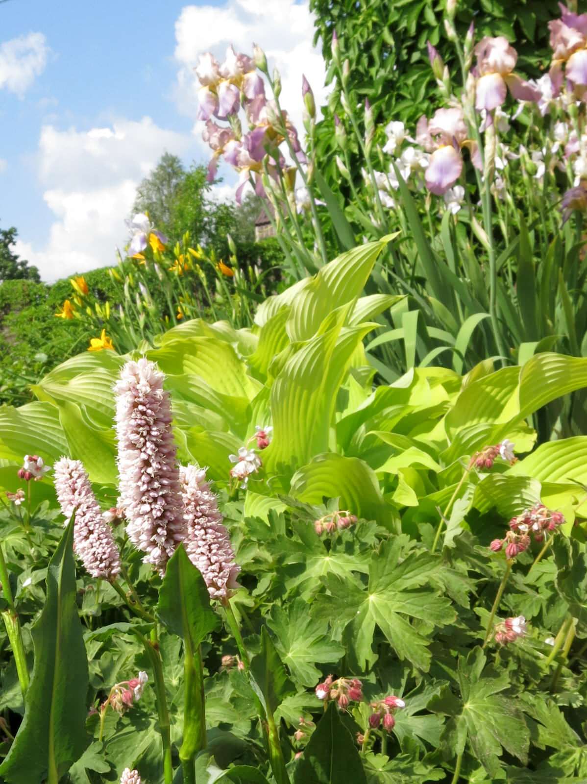 ТЕПЛЫШКО МОЕ. ВЕСНА.