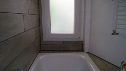 Piante in un bagno poco luminoso, quali? Piante in un bagno poco luminoso, quali?