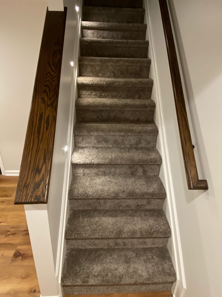 Traditional carpeted straight wood railing staircase in Other with carpeted risers.