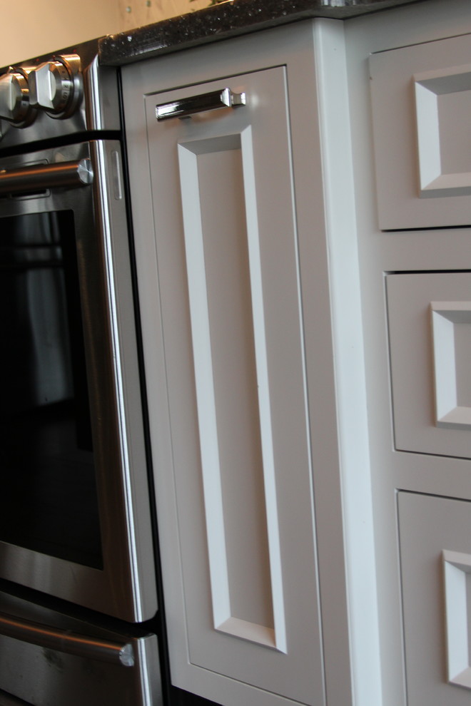 Transitional home design photo in Indianapolis