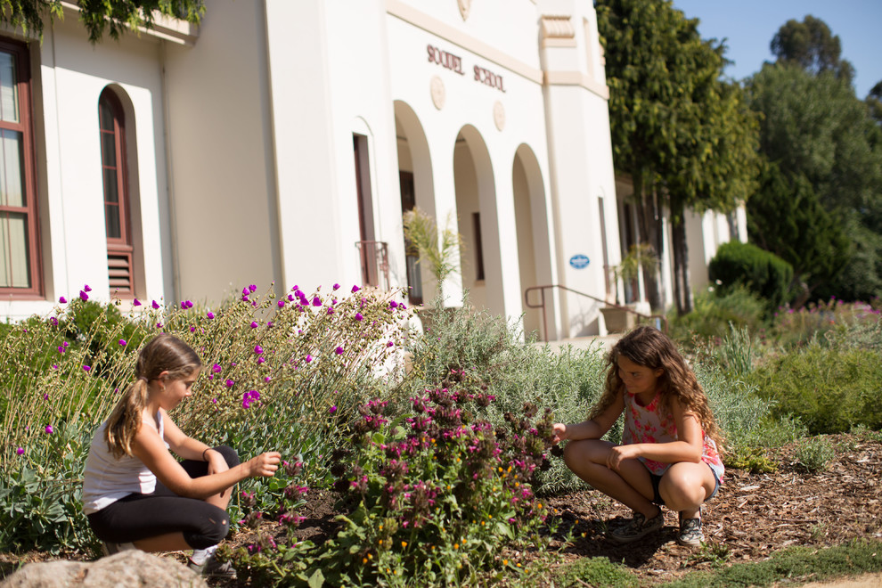 Soquel Elementary Turf Removal Project