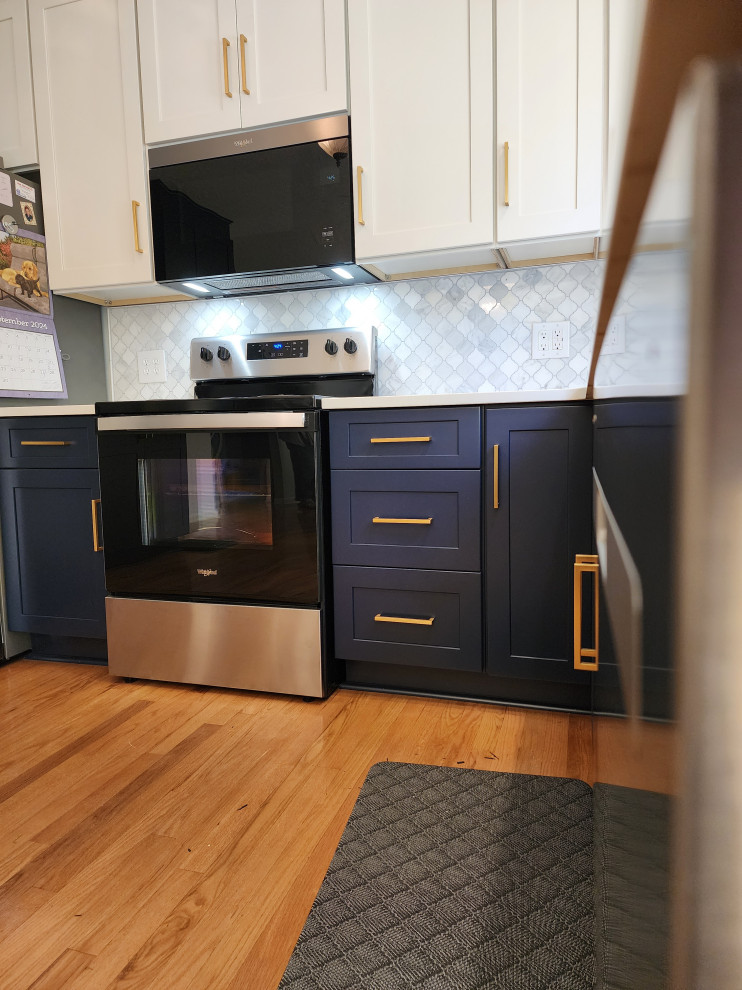 Mount Vernon Kitchen remodel
