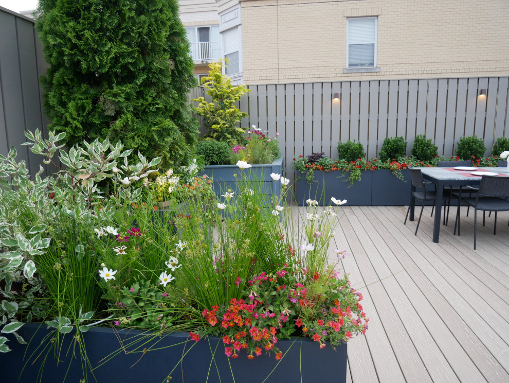 Deck - transitional deck idea in DC Metro