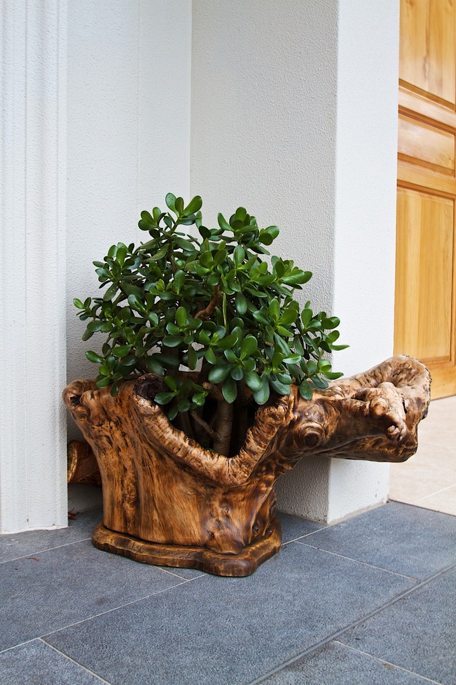 This is an example of a large contemporary exterior in Sydney.