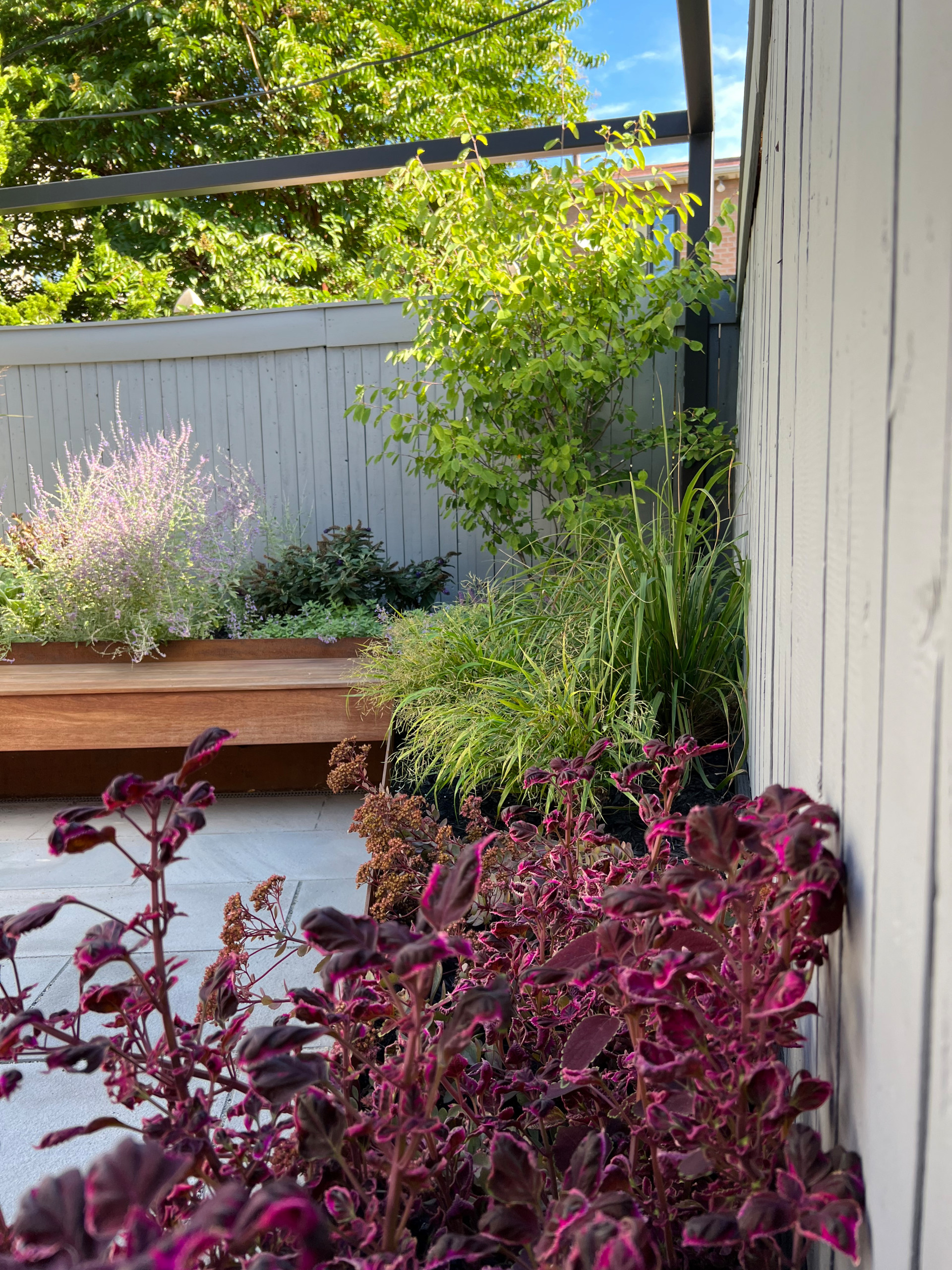 Paved patio with metal grating garden