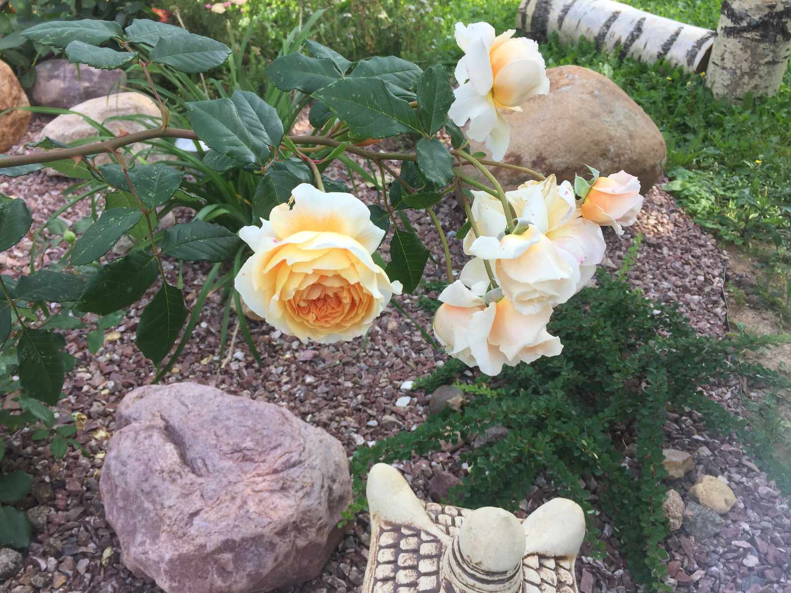 Ландшафтный проект узкого участка