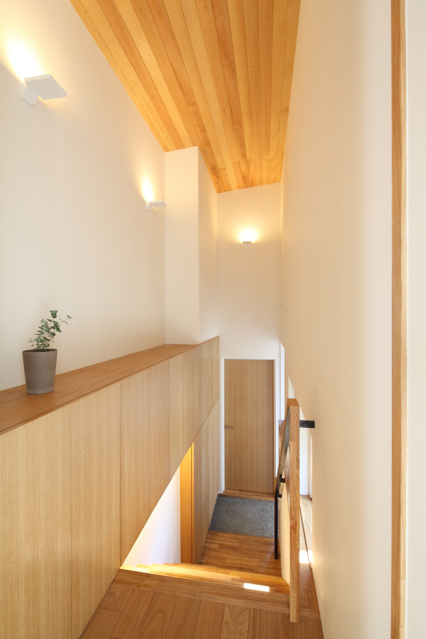 Photo of a modern entry hall in Tokyo Suburbs with white walls, a single front door, a metal front door, beige floor and plywood floors.