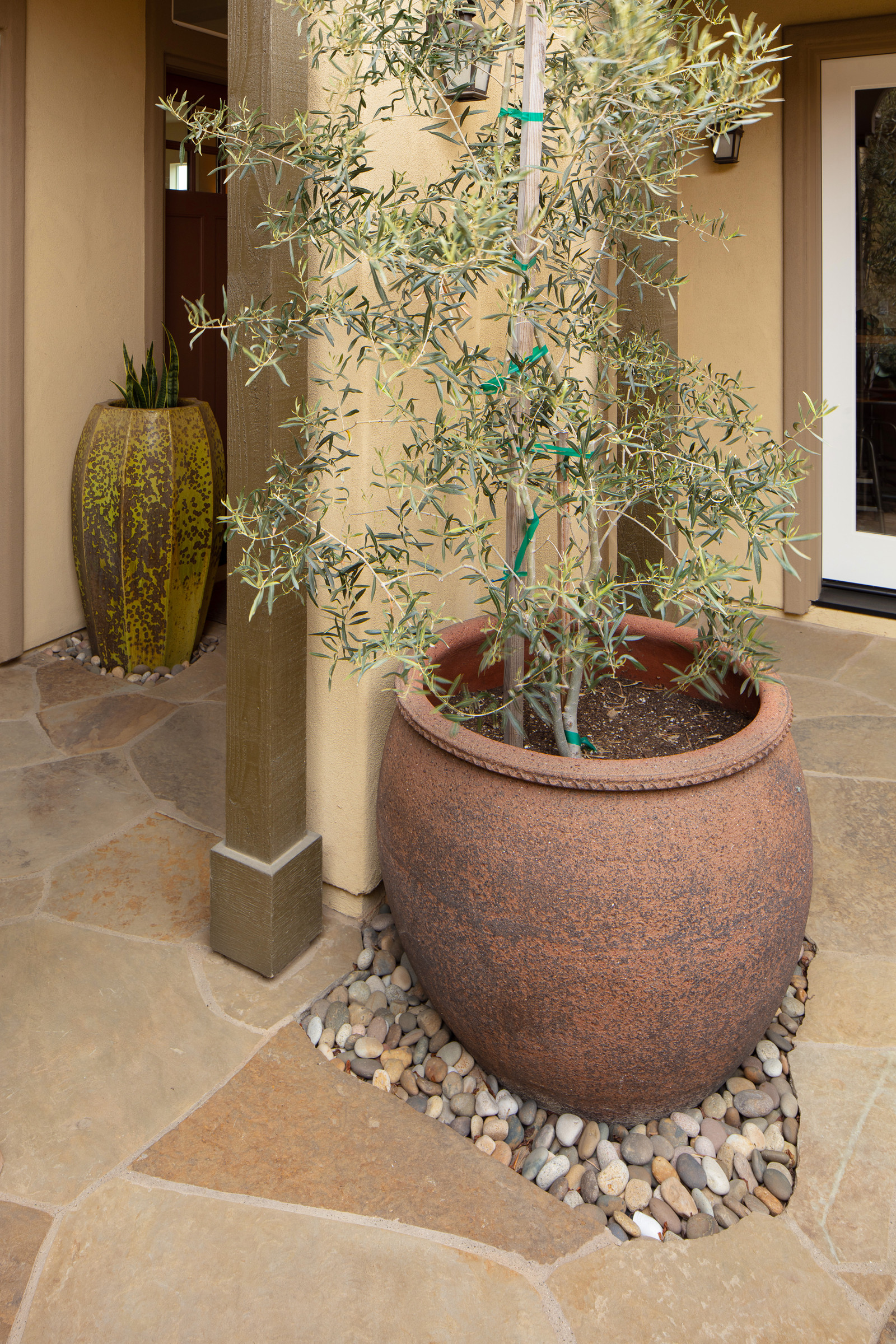 Trilogy Landscape and Outdoor Kitchen