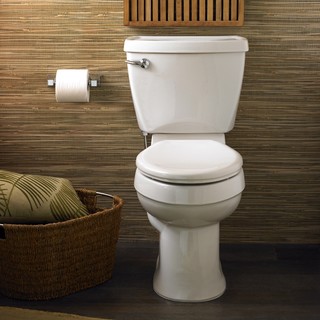 toilets elongated poop sirih wasir winborne verastic globalindustrial