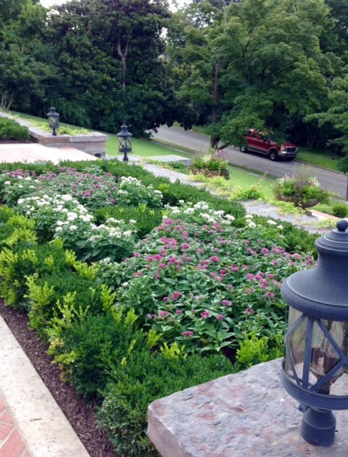 Front Garden Area