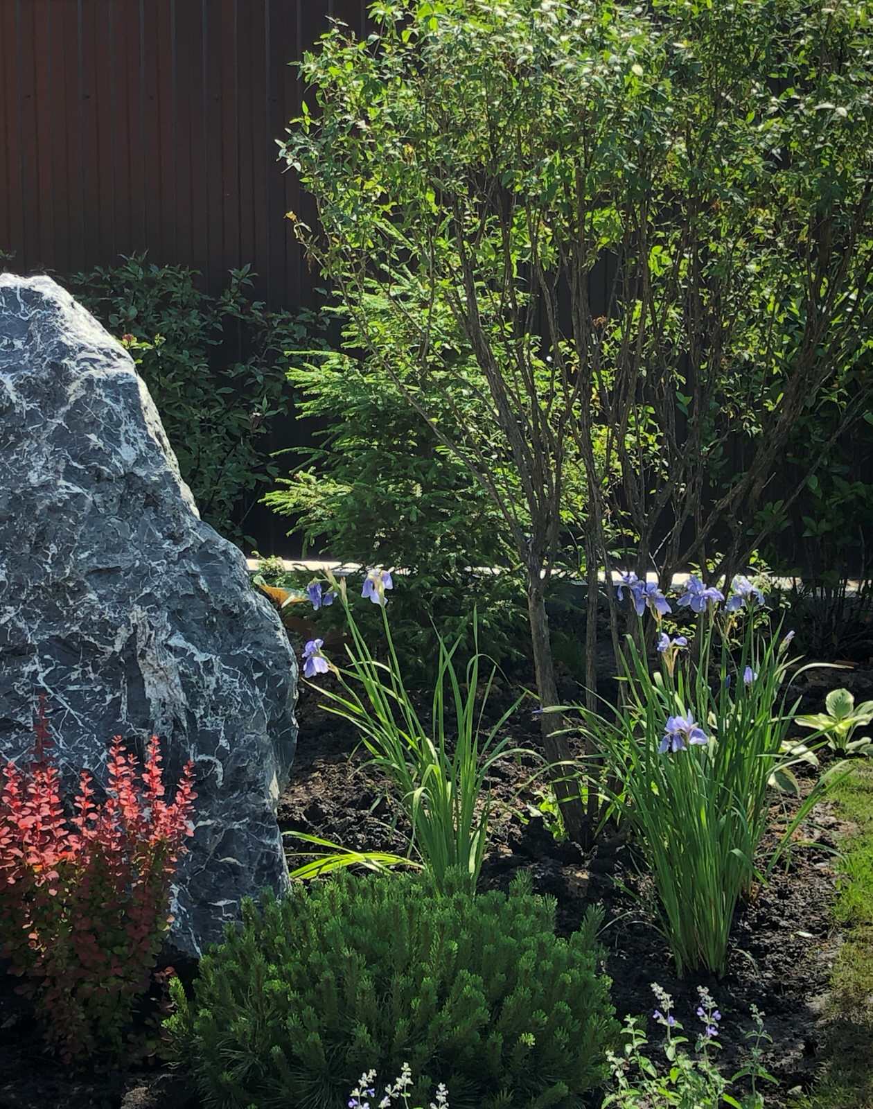 Роман с камнем