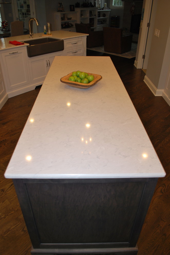 Home design - transitional home design idea in Chicago