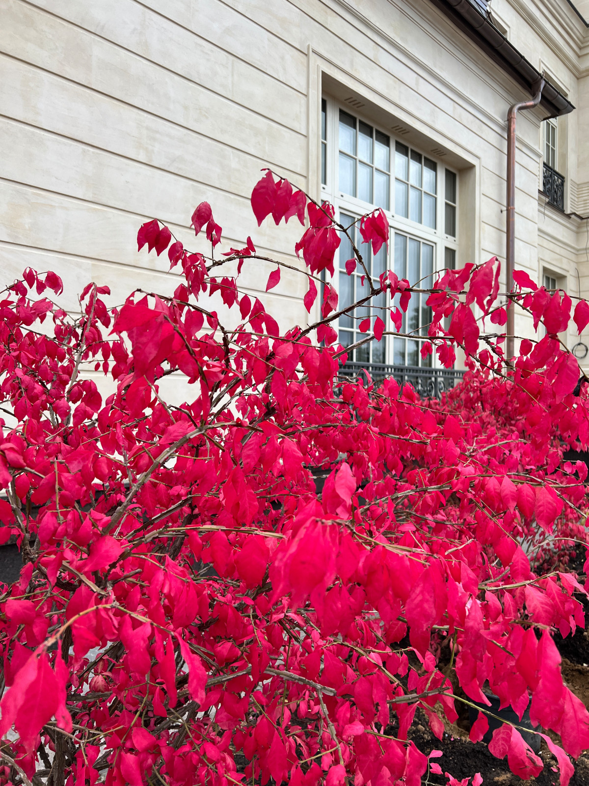 Сады осенью