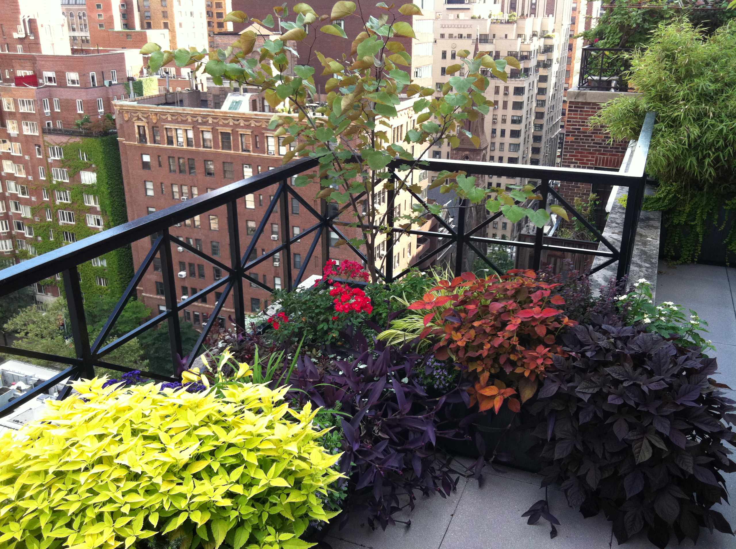 Rooftop in Manhattan