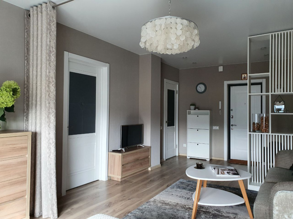 Переделка существующей гостиной-спальни-прихожей 23,26 м/кв