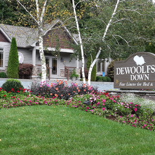 dewoolfson down