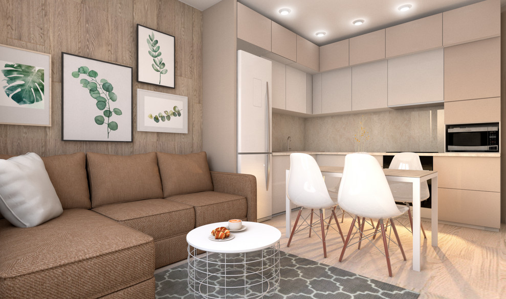 Кухня гостиная и спальня