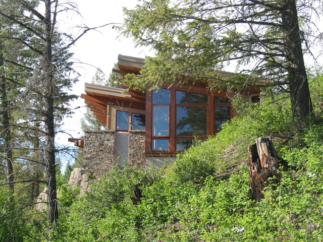 Exterior side view nestled into landscape contemporain-facade