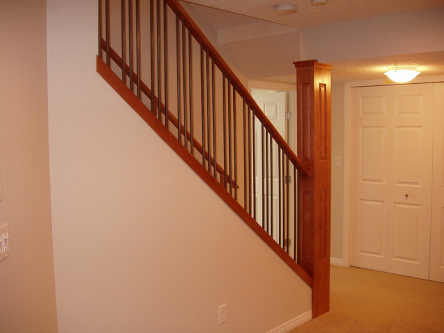 Basement Development transitional-basement