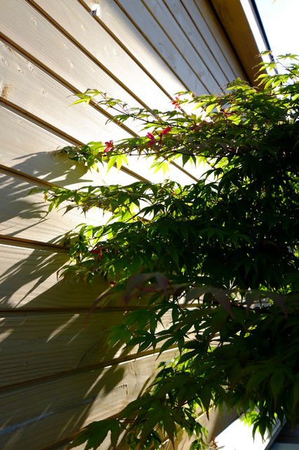 Les Oules contemporary-deck