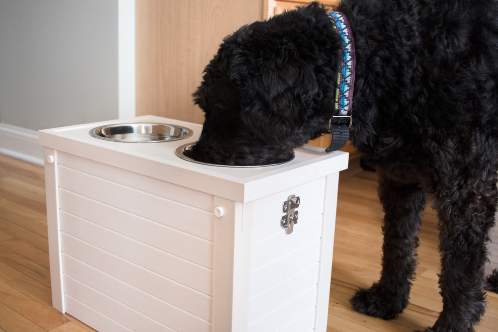 raised feeding station for large dogs