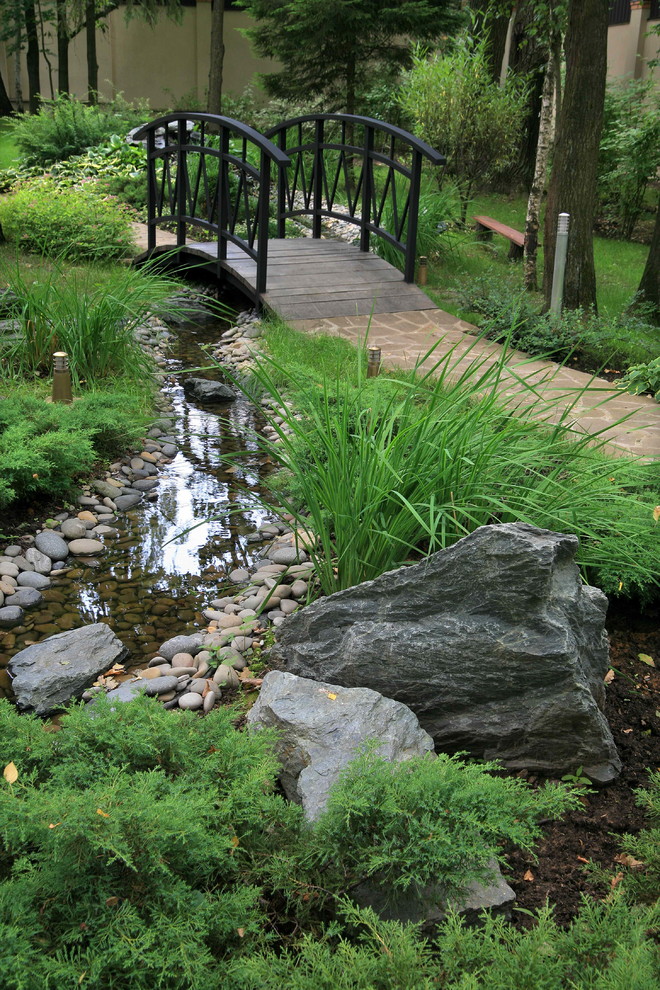 В теневом лесу