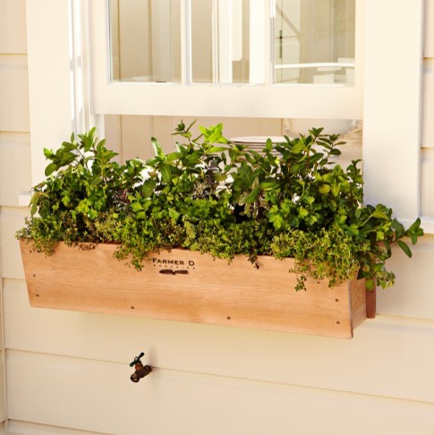 Cedar Window Box