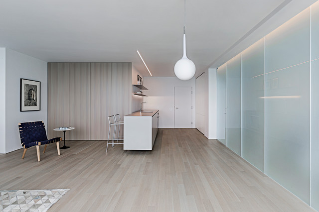 Unit 9C modern-kitchen