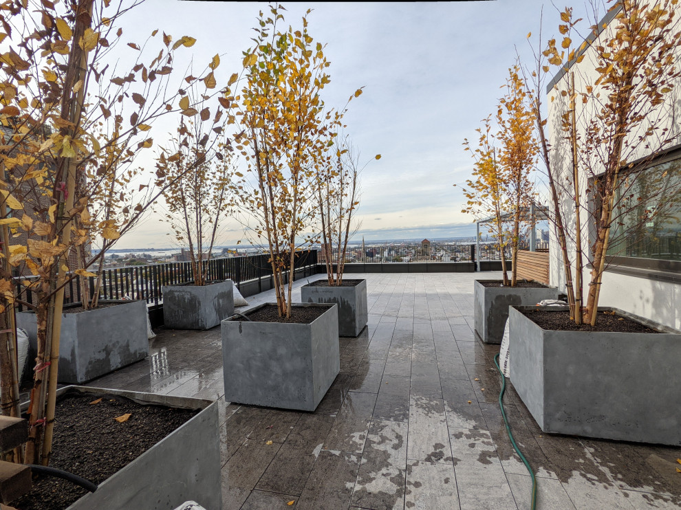 Photo of an arts and crafts rooftop garden in New York with with flowerbed.