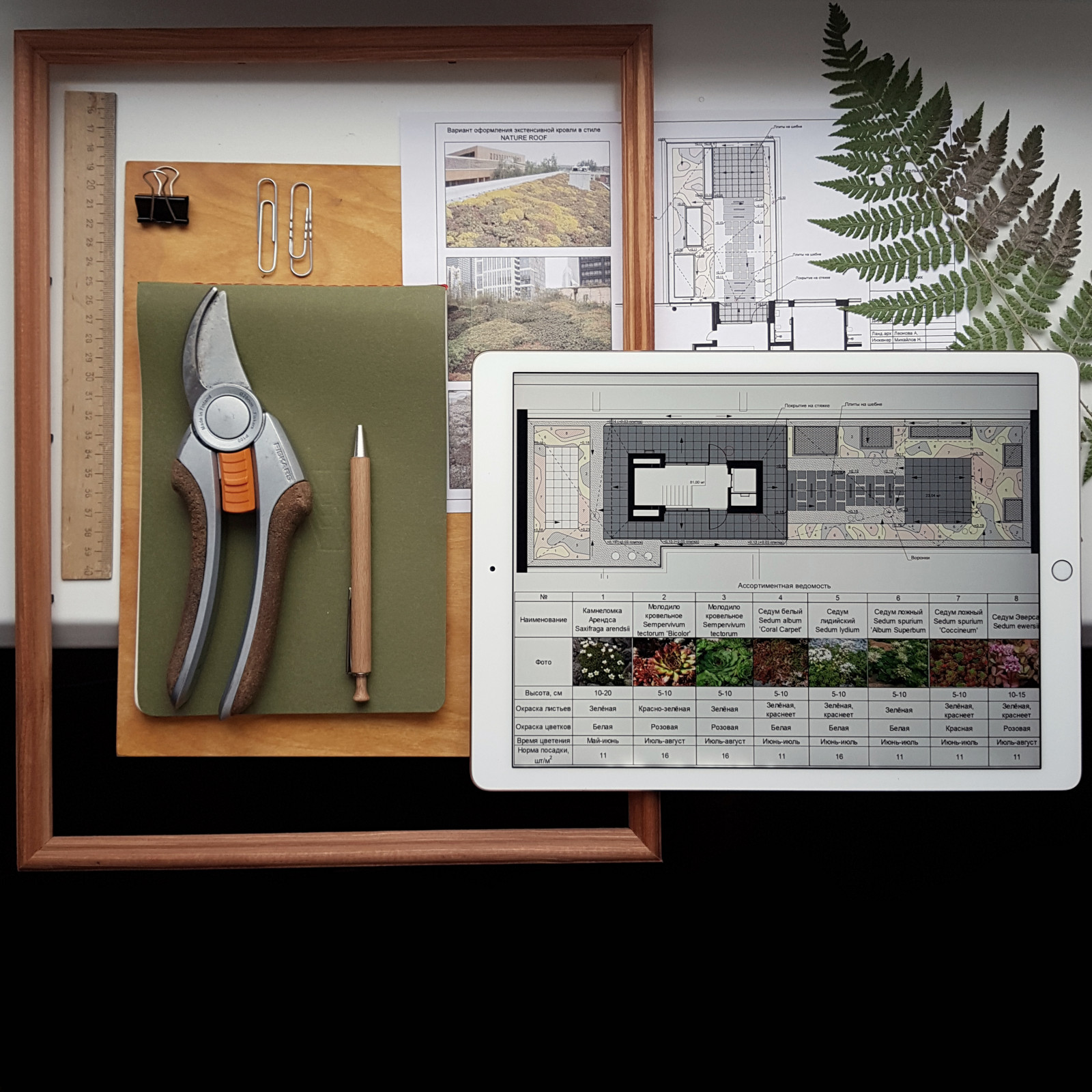 Эскизный проект эксплуатируемой кровли