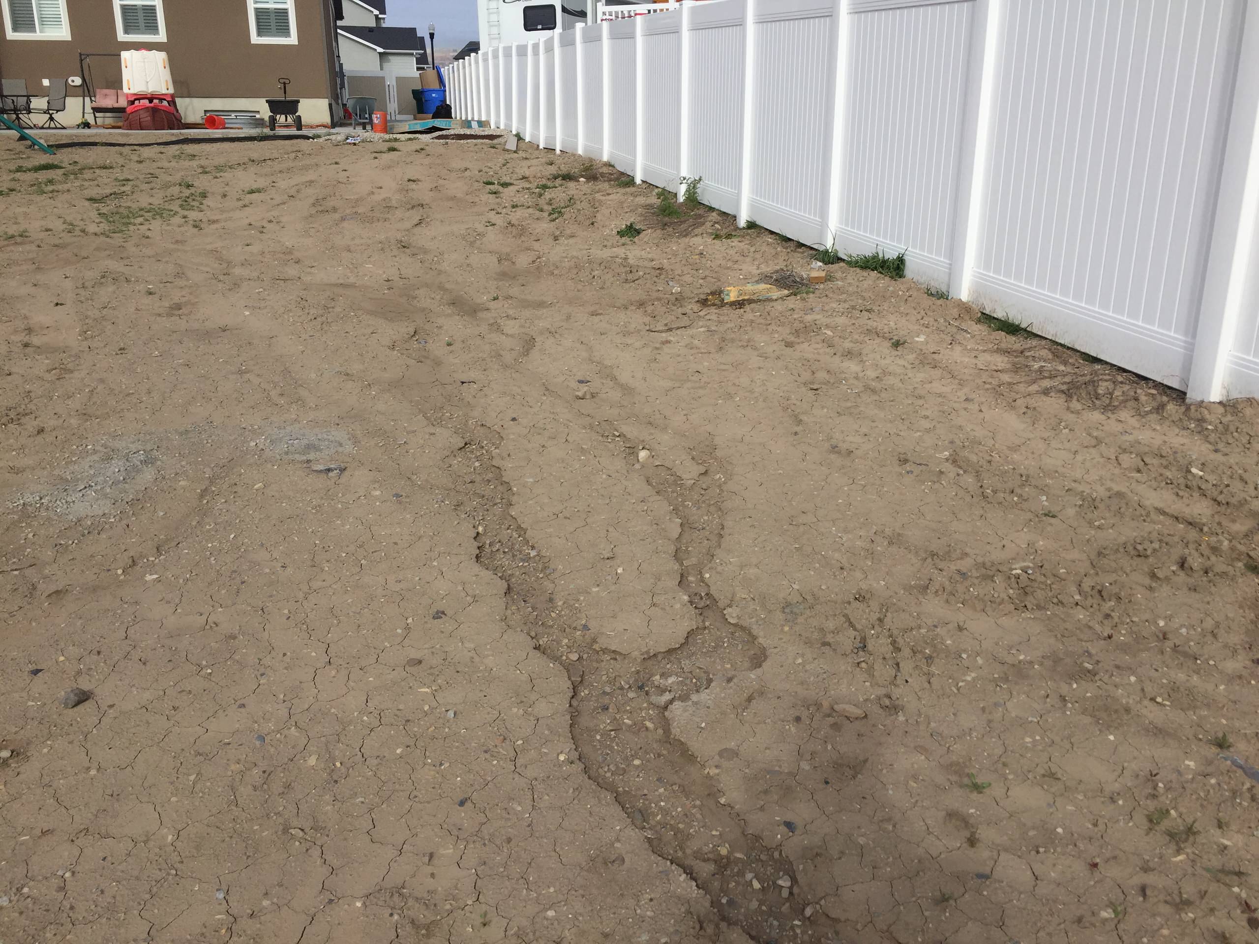 Backyard Before