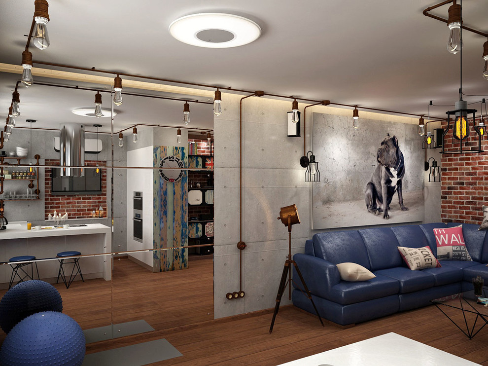 Концептуальный лофт