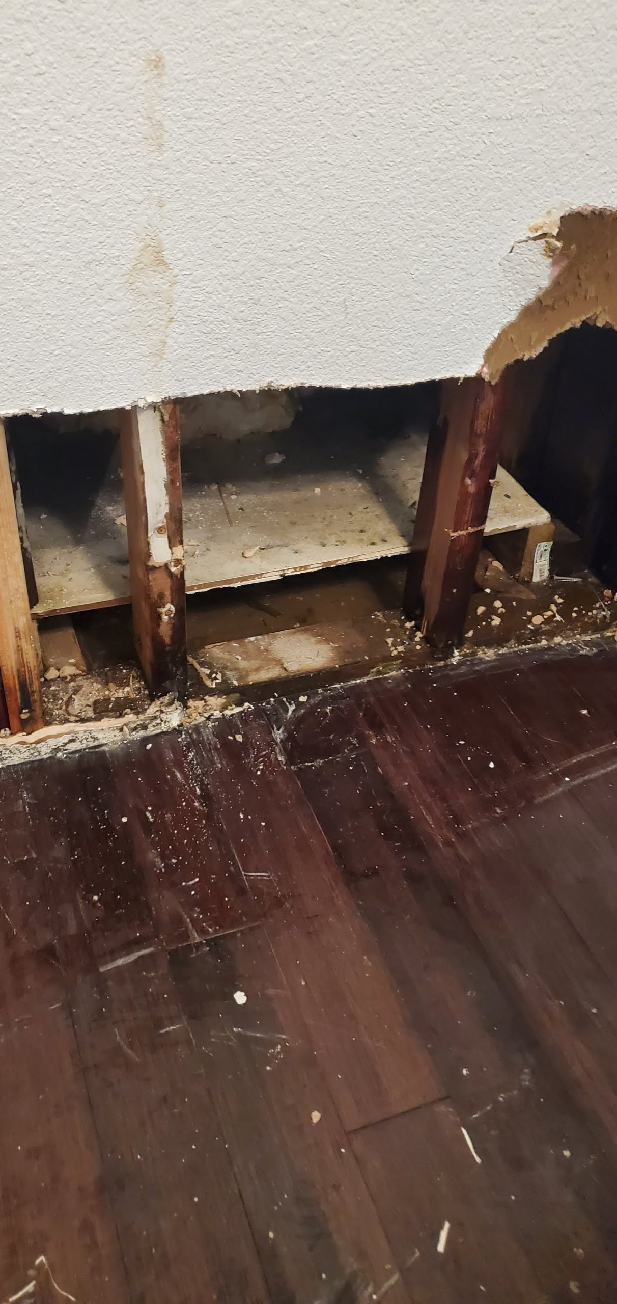 Water Damage shower