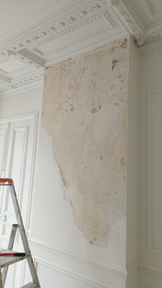 Traitement des murs suite au dégâts des eaux