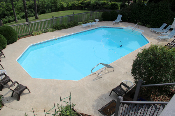 Example of a mid-sized transitional backyard concrete paver and custom-shaped natural pool design