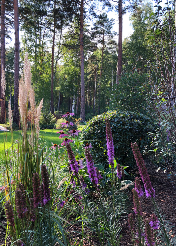 Усадьба на краю леса