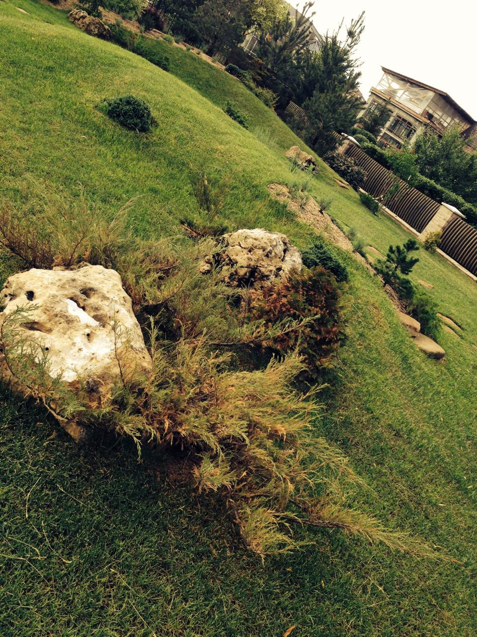 Миллениум Новая Рига