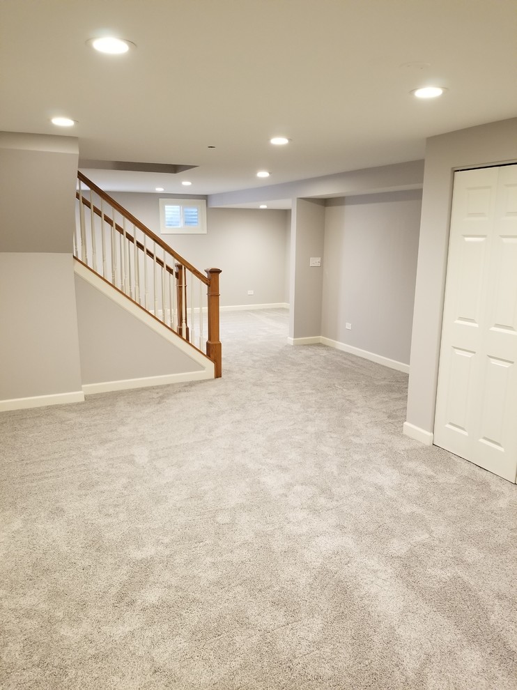 Inspiration for a mid-sized traditional fully buried basement in Chicago with white walls, carpet and beige floor.