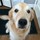 debi_bostwick