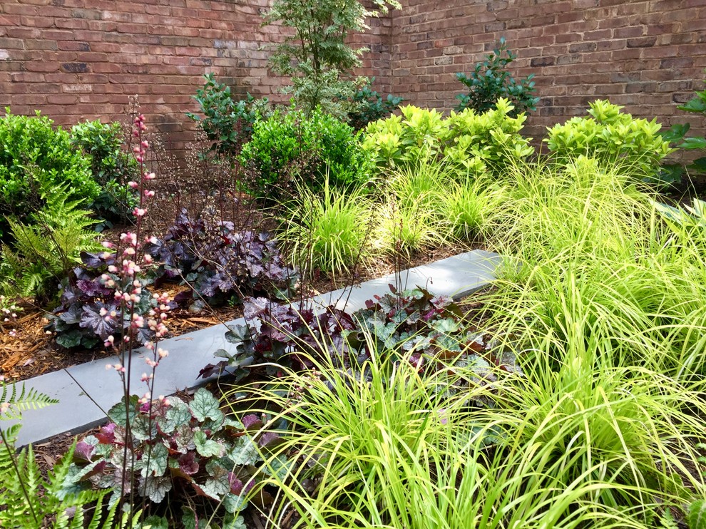 Inspiration for a transitional garden in Charlotte.