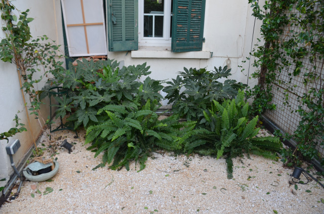 Le jardin du Microbiote mediterran-garten