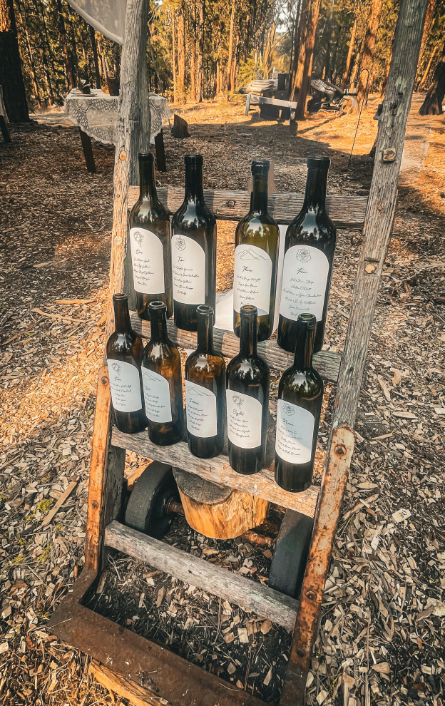 Wedding Design in the Forest of Chelan, WA