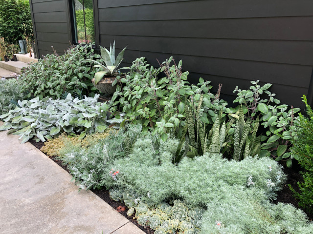 MIDWEST MODERN farmhouse-garden