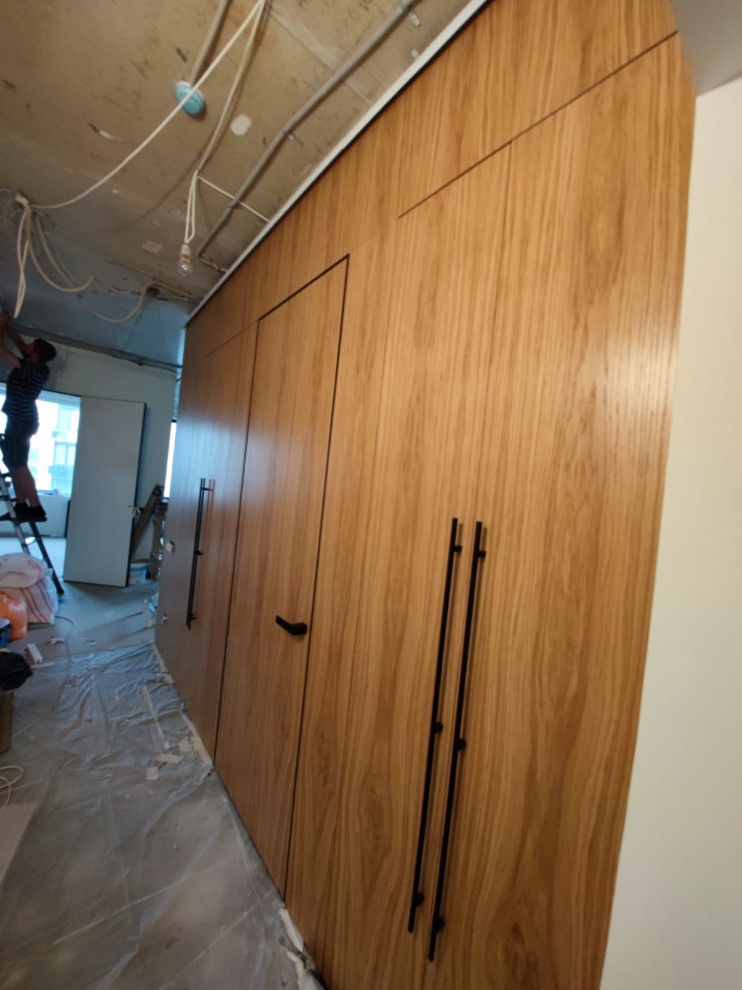 Интегрированная мебель и дверь в прихожей