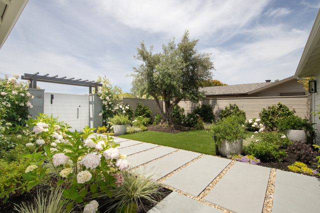 Belvedere Landscaping contemporary-garden