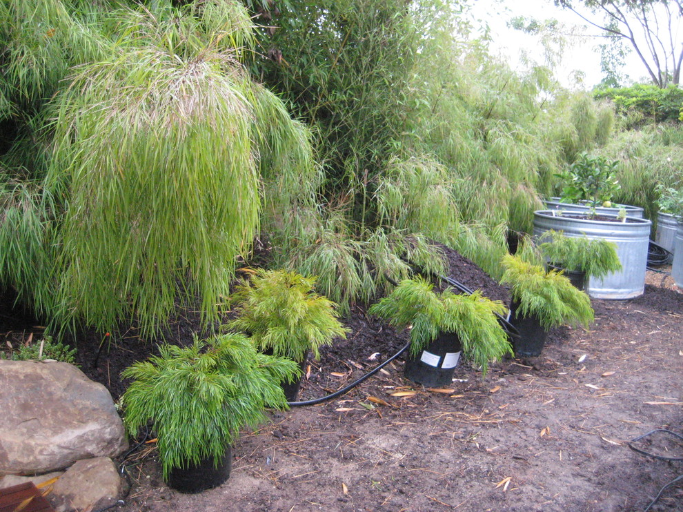 Photo of a modern landscaping in San Luis Obispo.