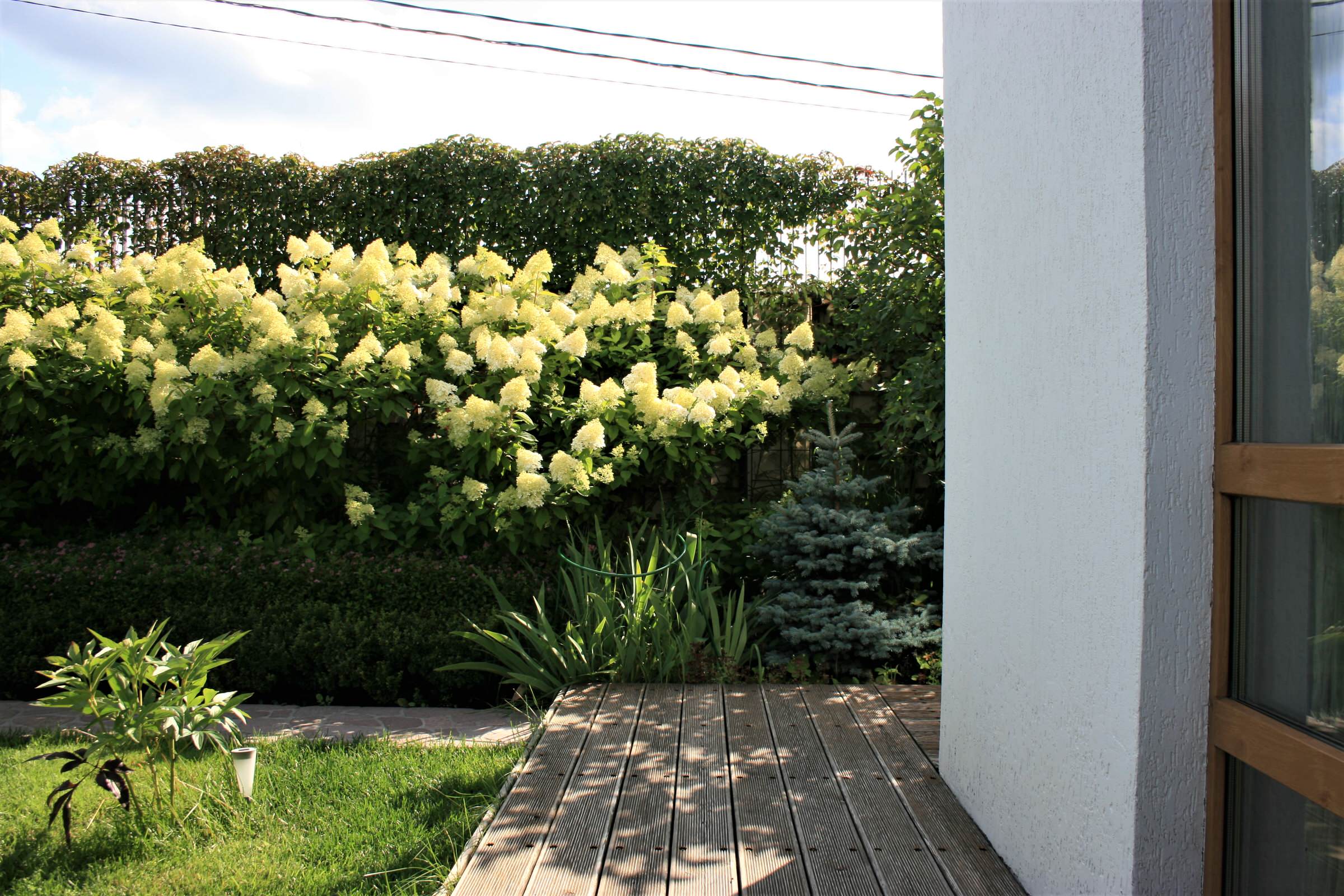 Сад в Летово