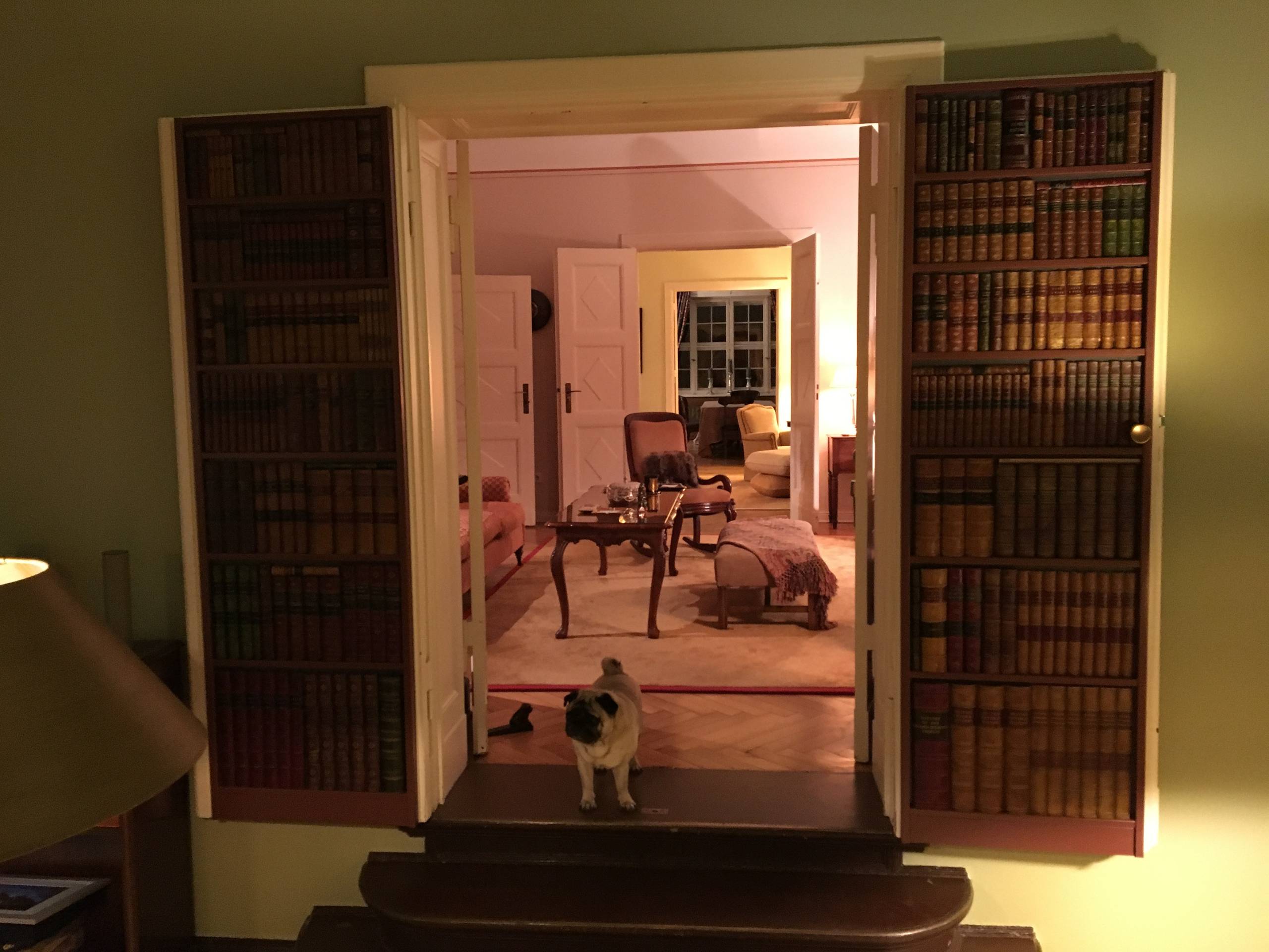 TV-Regal und Bücherwand Kirchweg Berlin Zehlendorf